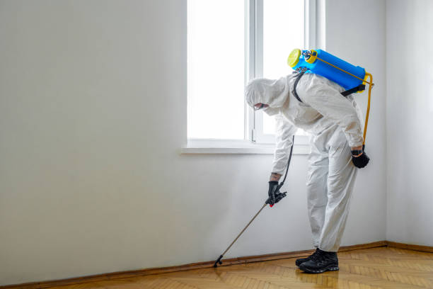 Best Fumigation Services  in Shiloh, PA